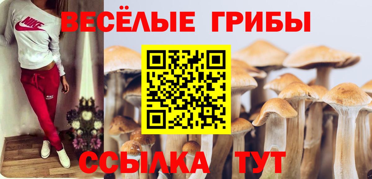 Галлюциногенные грибы прущие грибы  Вход с VPN  Владикавказ  Псилоцибиновые грибы прущие грибы 