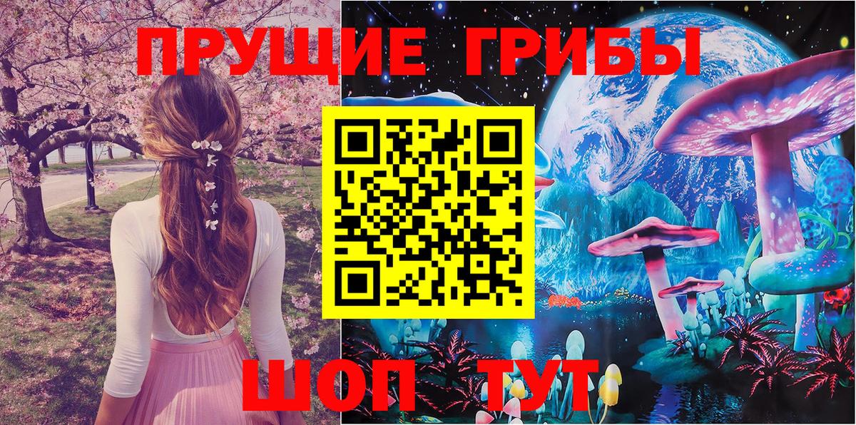 Галлюциногенные грибы мицелий Владикавказ
